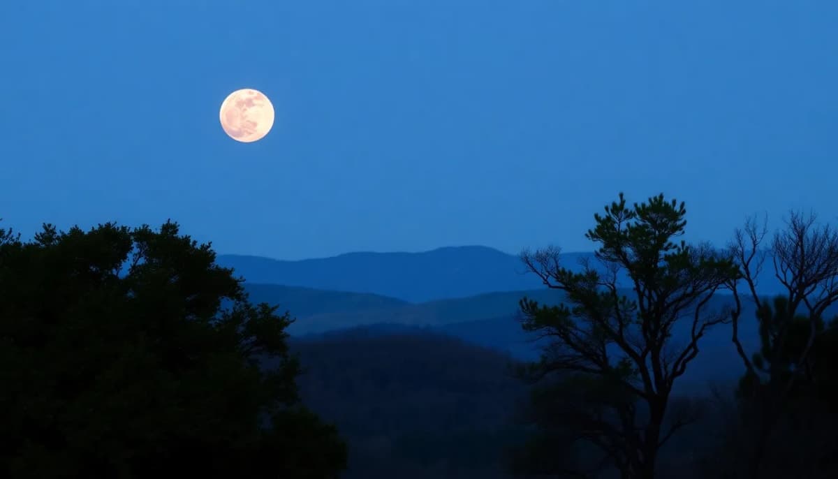 Stunning pink full moon rising over Westchester landscape at night.
