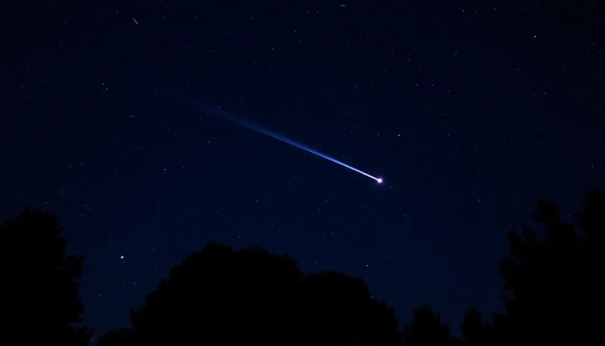 Bright comet illuminating the Westchester night sky over a park.